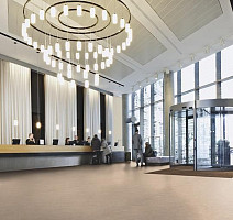 Forbo Marmoleum Decibel on Order 314135 Himalaya фото 2 | FLOORDEALER